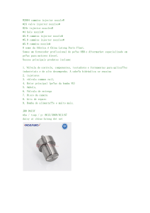 DN0SD193 24 valve injector nozzles