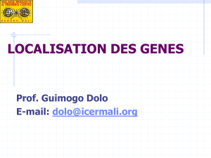 LOCALISATION-DES-GENES