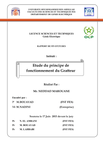 Etude du principe de fonctionnement du Gratteur