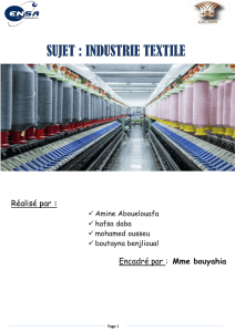  rapport-industrie-textile
