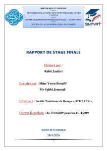 Rapport de stage finale (2)