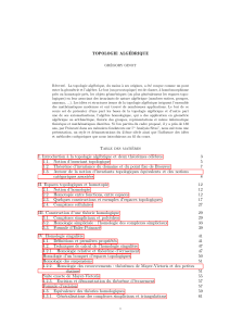 Topologie Alg&eacute;brique : Cours Avanc&eacute;