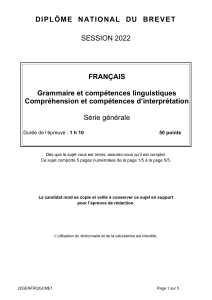 580482308-Brevet-2022-serie-generale-grammaire-et-comprehension