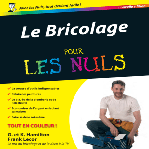 Le Bricolage pour les Nuls : Guide pratique de r&eacute;novation
