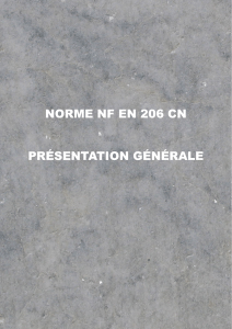 Norme-NF-206-CN