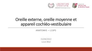 Diaporama Oreille externe moyenne appareil cochléo vestibulaire - 2022