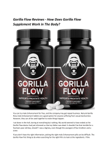 Gorilla Flow Reviews