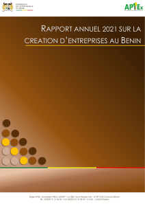 RAPPORT ANNUEL DE CREATION D'ENTREPRISES AU BENIN 2021