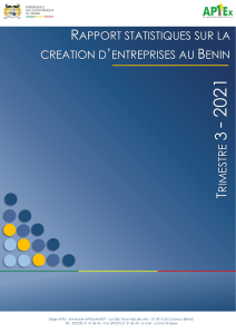 RAPPORT TRIMESTRIEL SUR LA CREATION D'ENTREPRISES AU BENIN T3 2021