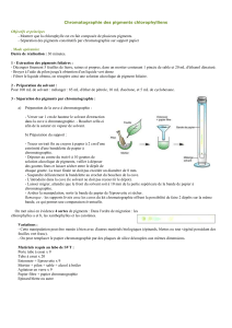 Chromatographie des pigments chlorophylliens(3)