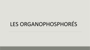 Diapo : les organophosphorés