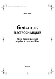 Pierre Mayé - Générateurs électrochimiques - Piles, accumulateurs et piles à combustible-Dunod (2010)