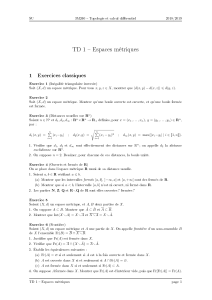 TD1-Metrique