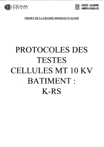 Cellules 10KV  Bat K-RS-CEAM