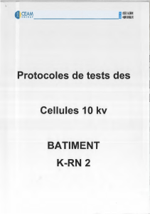 Cellules 10 KV Bat K-RN-2