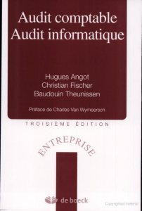 Audit comptable, Audit informatique (Hugues Angot, Christian Fischer etc.) (z-lib.org)