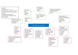 P&eacute;riurbanisation &agrave; Bruxelles : causes et cons&eacute;quences
