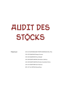 audit-des-stocks compress-1