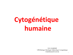 6. cytogénétique humaine
