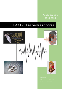 Ondes sonores : Cours pour le secondaire