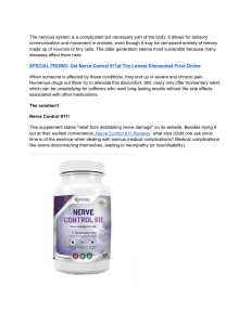 Nerve Control 911 Reviews (USA): Best Nerve Pain Relief Supplement From PhytAge Labs
