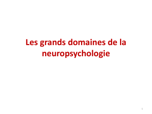 Les grands domaines de la neuropsychologie (1)