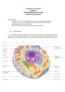 Chapitre 4 La Membrane Plasmique