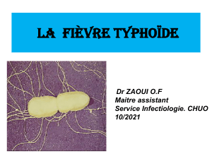 1- La fièvre typhoïde