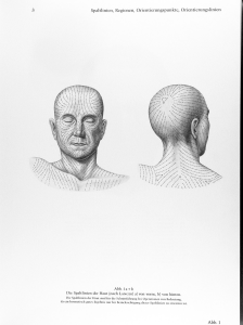 Atlas of Topographical and Applied Human Anatomy, Vol. 1  Head and Neck (v. 1) ( PDFDrive )