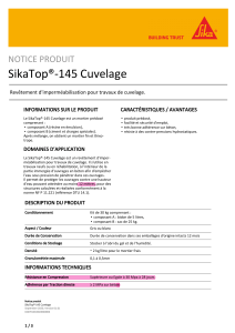sikatop-145-cuvelage
