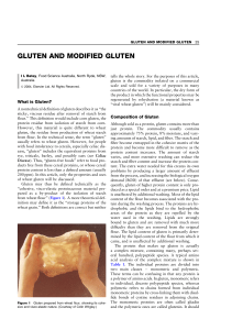 Batey - Unknown - GLUTEN AND MODIFIED GLUTEN What is Gluten-annotated