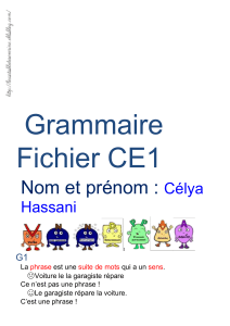 Fichier grammaire Célya Hassani