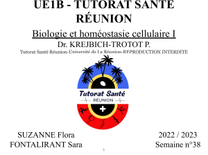 SUPPORT UE1-B-KREJBICH-Biologie et homéostasie cellulaire 28 09 22 .pptx