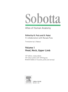 Sobotta Atlas of Human Anatomy - Volume 1