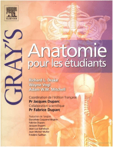 Gray's Anatomie - Anatomie pour les e╠ütudiants - R. Drake - e╠üd. Elsevier