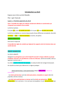 Prises de notes CM Introduction au droit