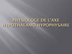 physio2an endocrino-axe hypothalamo hypophysaire2021khelifi