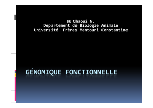 génomique fonctionnelle partie 1 [Mode de compatibilité] (1)