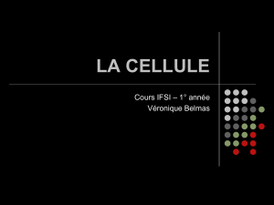 LA CELLULE