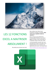 Les-12-fonctions-Excel-à-maîtriser-absolument-(1)