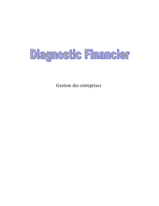 Diagnostic-financier (1)