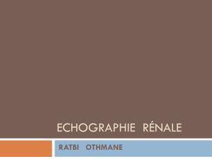Echographie Renale