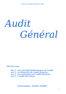 audit-général