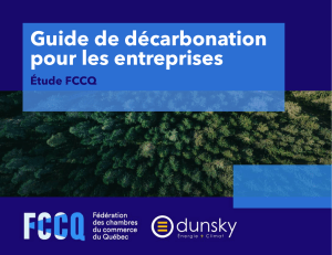 FCCQ Guide Decarbonation Final