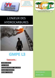 EXPOSE enjeux d hydrocarbure (Récupération automatique)