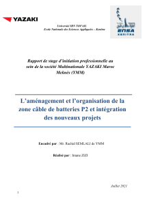 rapport de stage Imane 