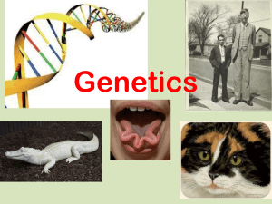 Genetics 21 2 2020