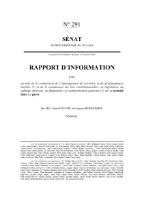 Sénat 291- Rapport d'information - Renforcer Sécurité