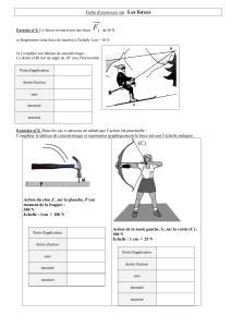 exercice force (1)