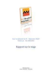 204487086-Rapport-de-Stage-AttijariWafa-Bank
